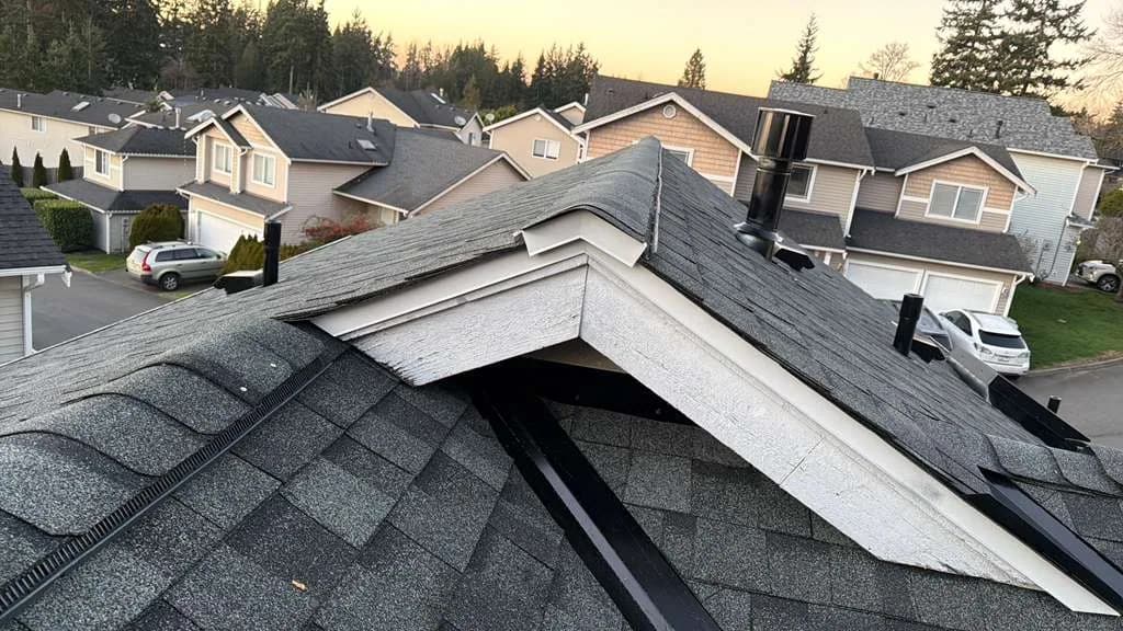 Shingle Roof Replacement project by Elite Prime Roofing