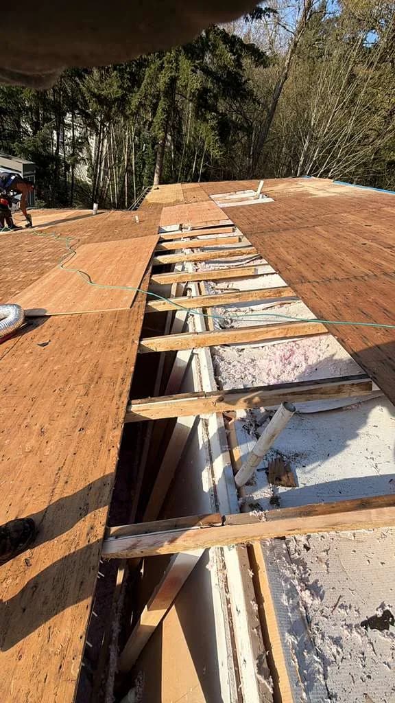 Shingle Roof Replacement project by Elite Prime Roofing