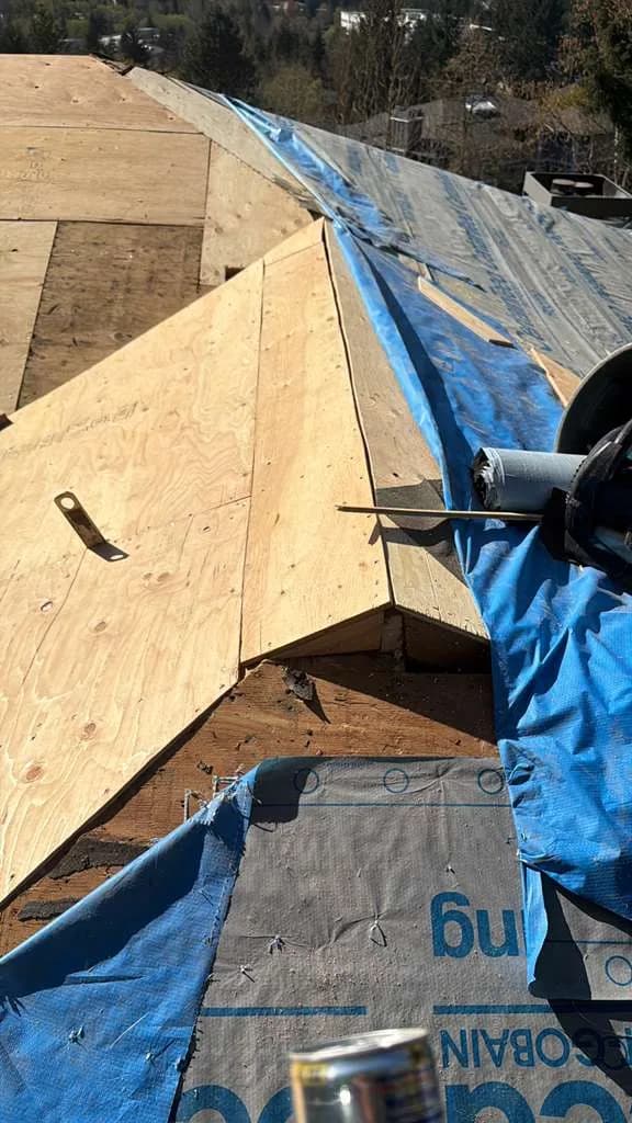 Shingle Roof Replacement project by Elite Prime Roofing