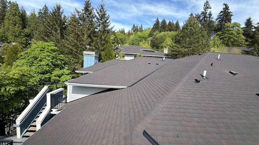 Shingle Roof Replacement project by Elite Prime Roofing