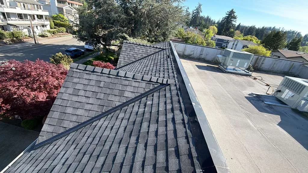 Shingle Roof Replacement project by Elite Prime Roofing