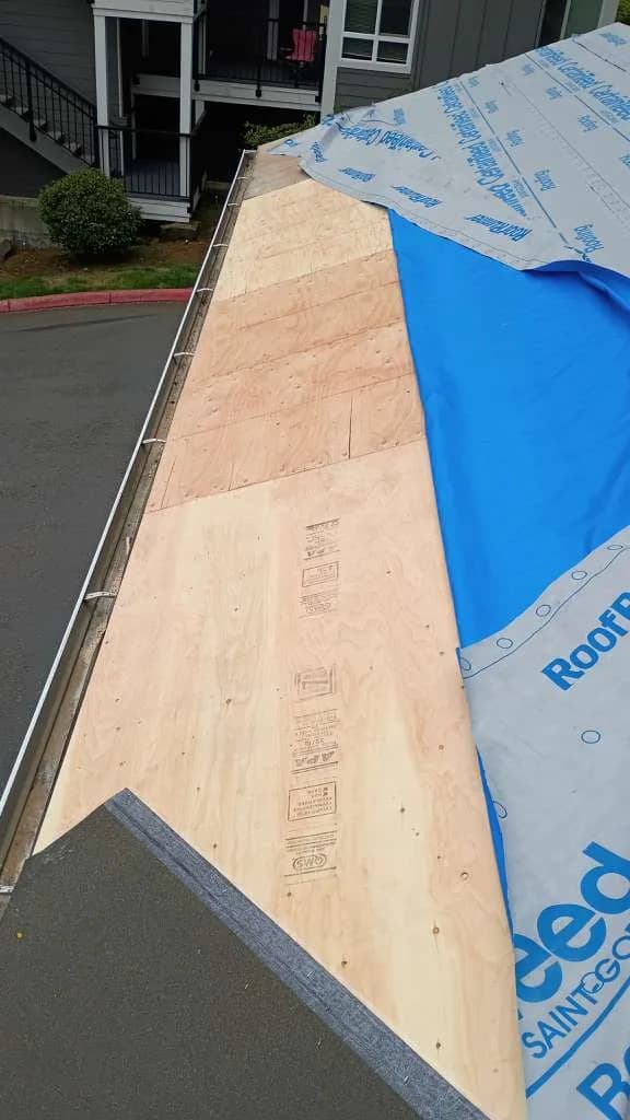 Shingle Roof Replacement project by Elite Prime Roofing