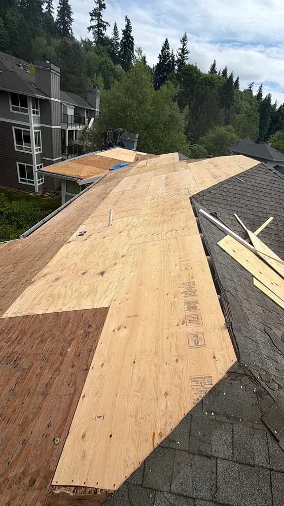 Shingle Roof Replacement project by Elite Prime Roofing